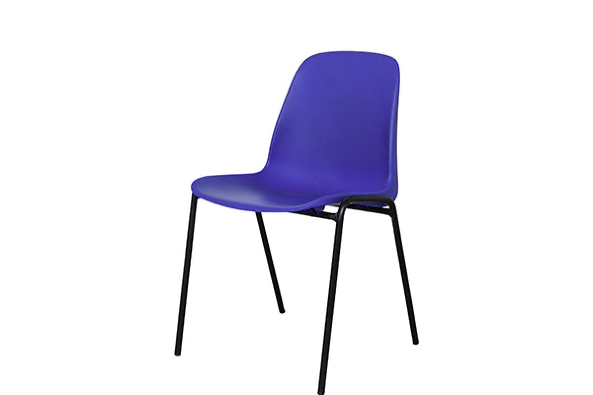Sedia.jpg